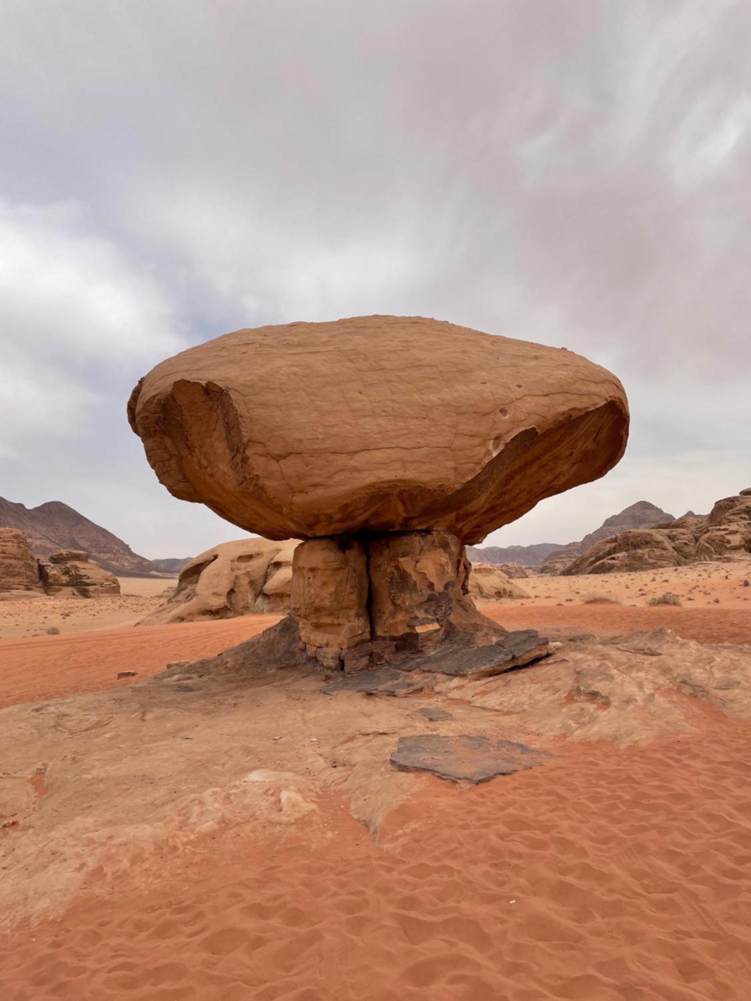 Wadi Rum Trip 외부 사진